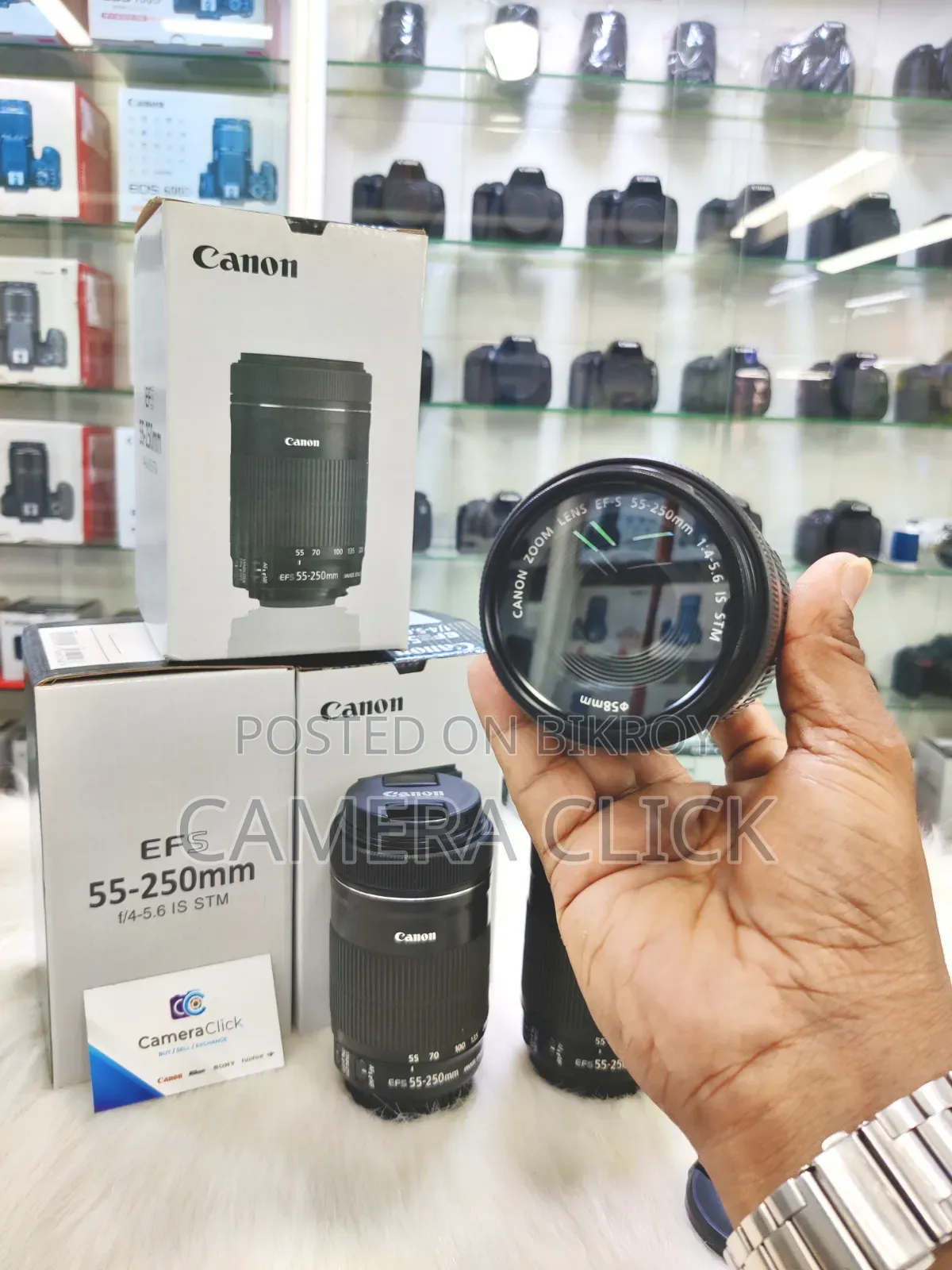 Canon 55-250mm STM Zoom Lens