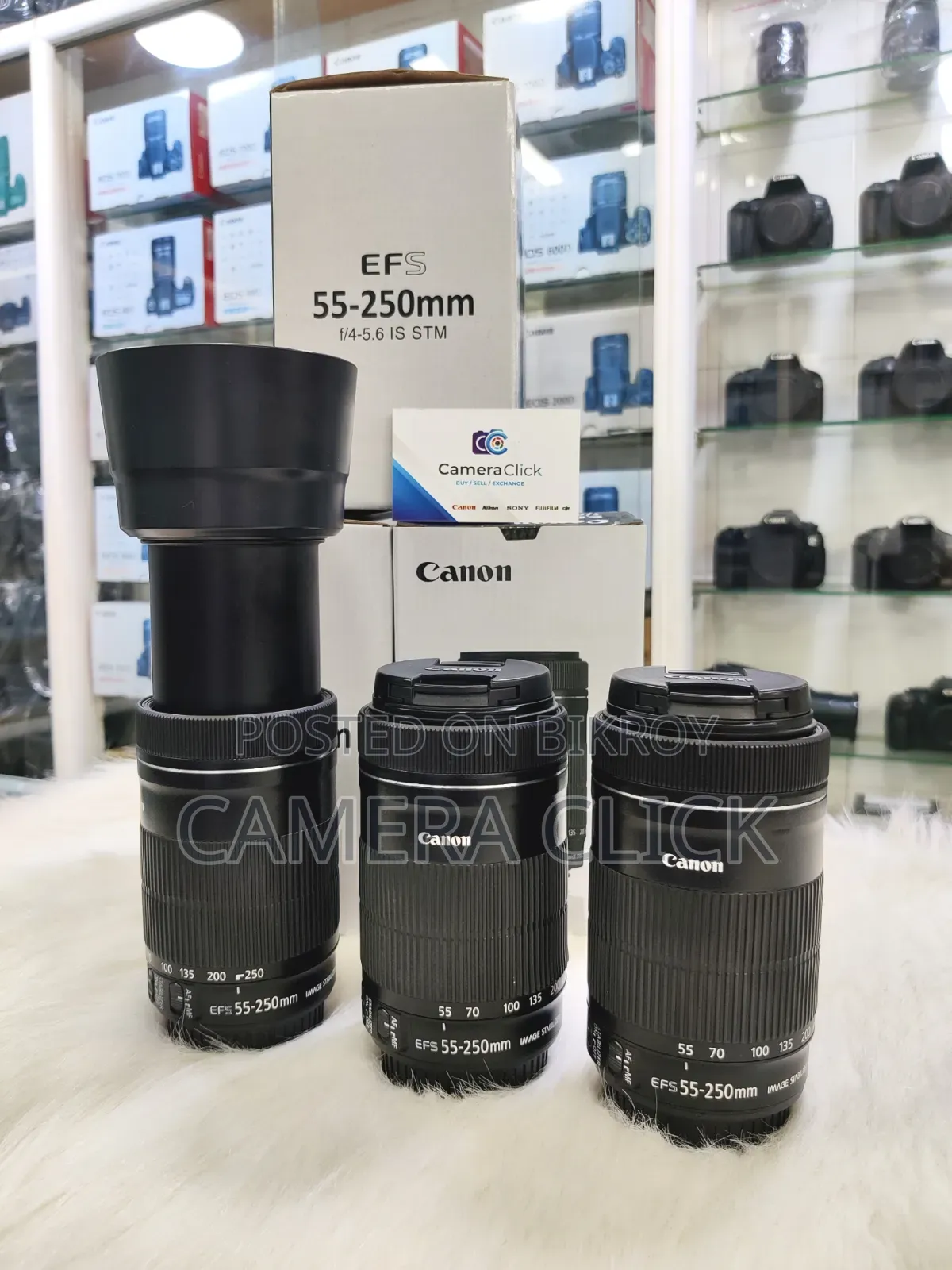 Canon 55-250mm STM Zoom Lens