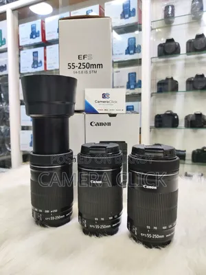 Canon 55-250mm STM Zoom Lens