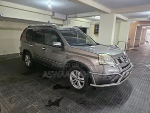 Nissan X-Trail 2.0 Petrol XE 2010 Gray