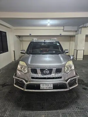 Nissan X-Trail 2.0 Petrol XE 2010 Gray