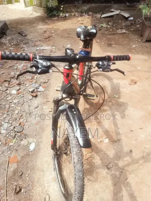 Laux Mountain Bike in fresh condition (Emergency Sale)