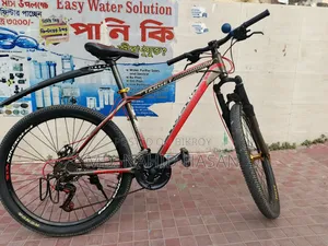 ফিনিক্স সাইকেল