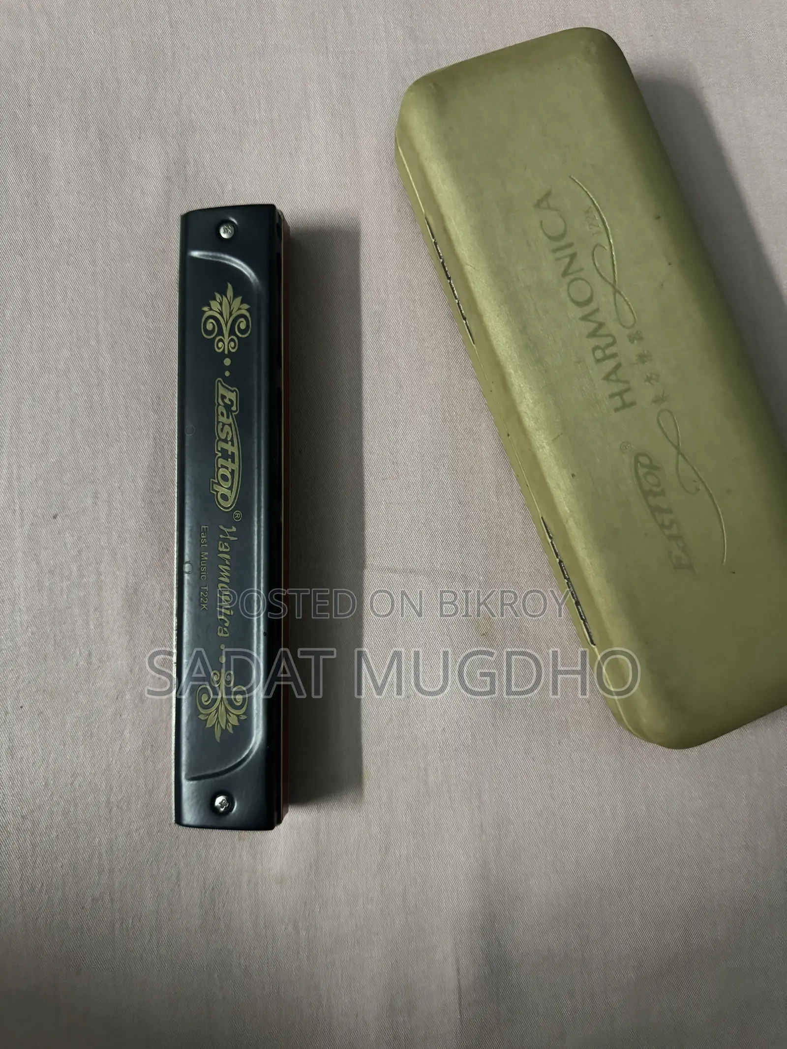 Easttop Professional Tremolo Harmonica 22 Holes for Adults