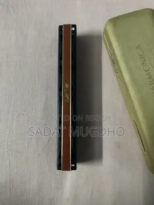 Easttop Professional Tremolo Harmonica 22 Holes for Adults