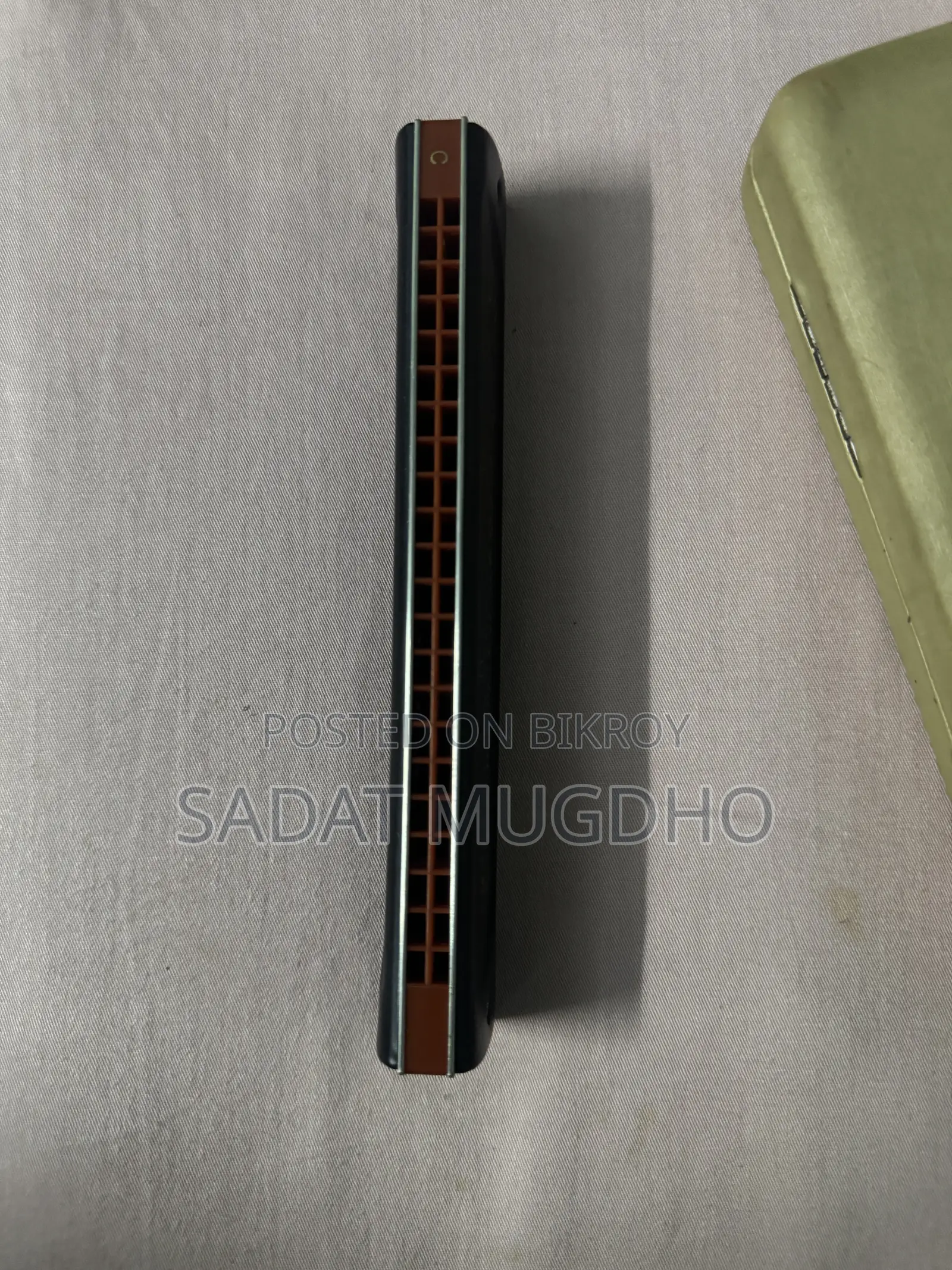 Easttop Professional Tremolo Harmonica 22 Holes for Adults