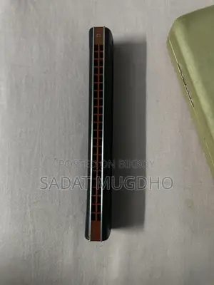 Easttop Professional Tremolo Harmonica 22 Holes for Adults