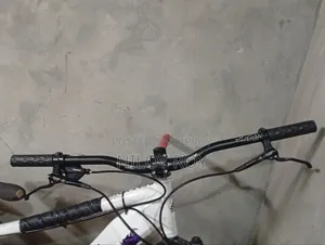 2 Oil Brake, 2 Rotors, 1 Chain Derailleur, 1 Footpack, 1 Single Pedal