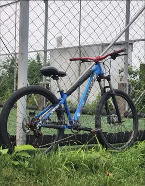 Stunt Cycle