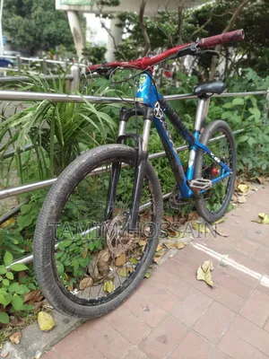 Stunt Cycle