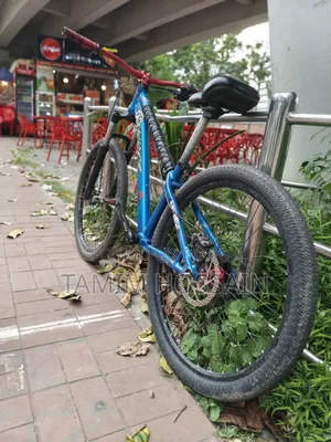 Stunt Cycle