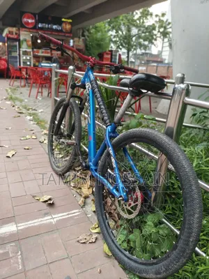 Stunt Cycle