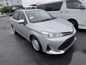 Toyota Axio 2022 Silver