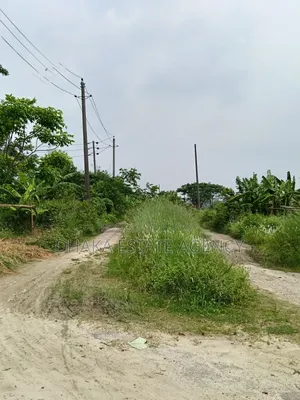 75 Feet Road 7.50 Katha Sector-25, South Face