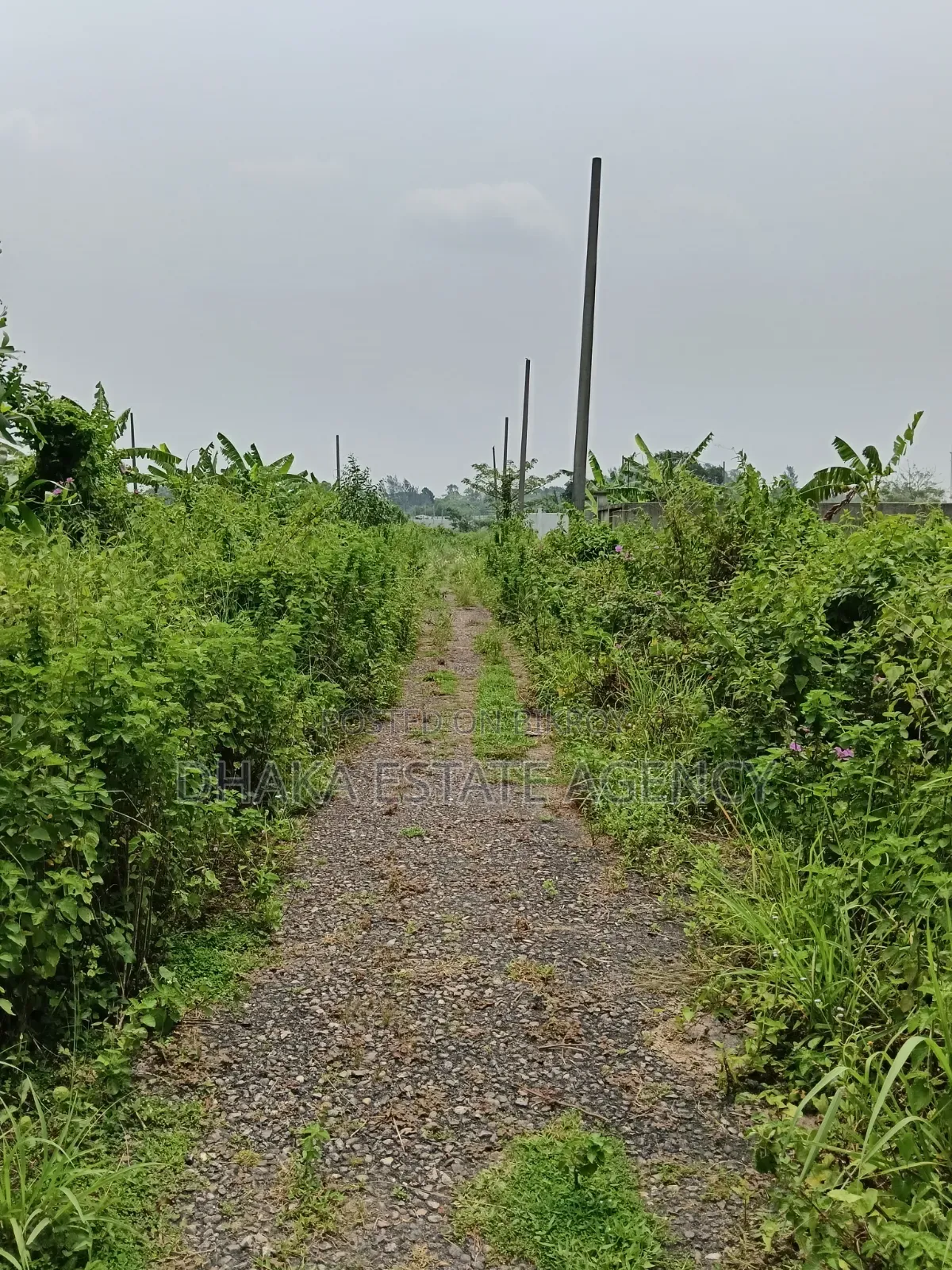 75 Feet Road 7.50 Katha Sector-25, South Face
