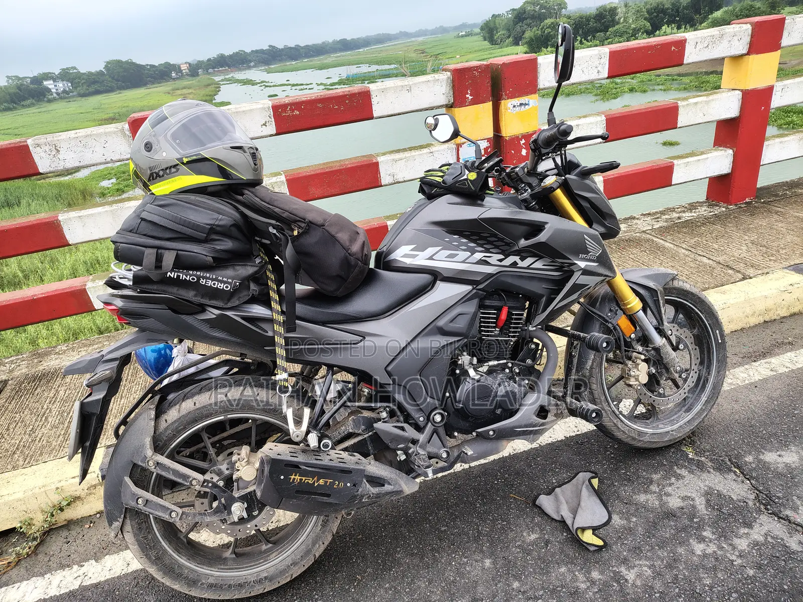 Honda Hornet 2024 Gray