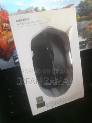 Havit Bluetooth Mouse