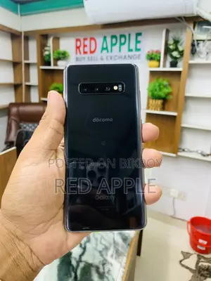 Samsung Galaxy S10 Plus 128 GB Gray