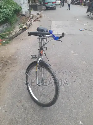 Indian Original Indian