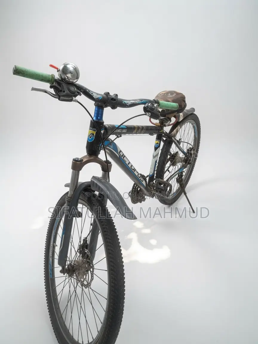 Octopus Mountain Cycle