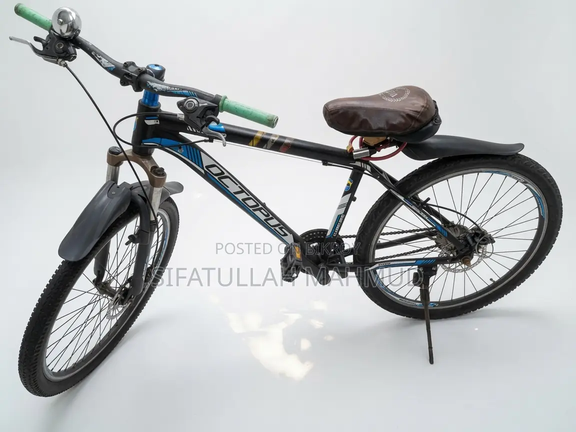 Octopus Mountain Cycle