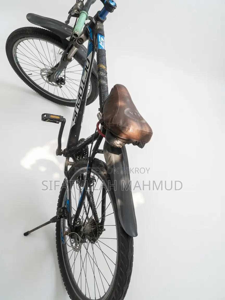 Octopus Mountain Cycle