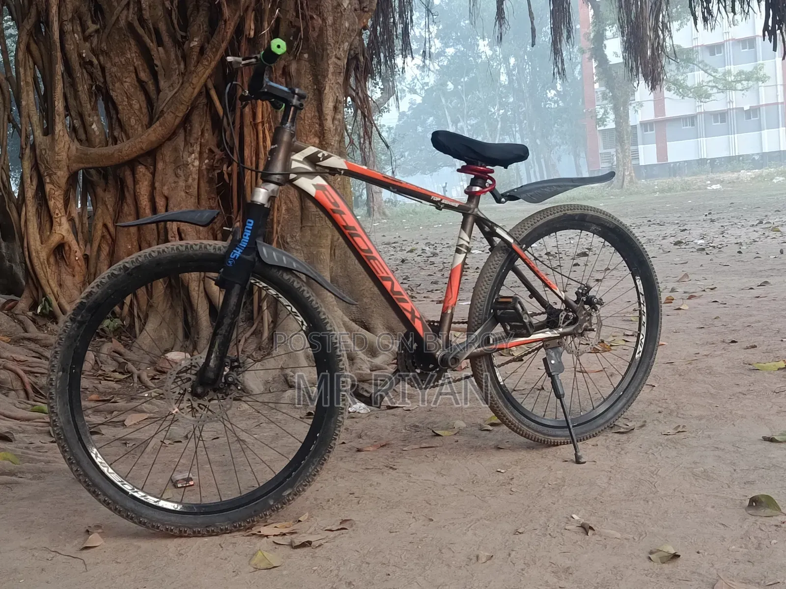 Phoenix Bicycle with Aluminum Body for Sale