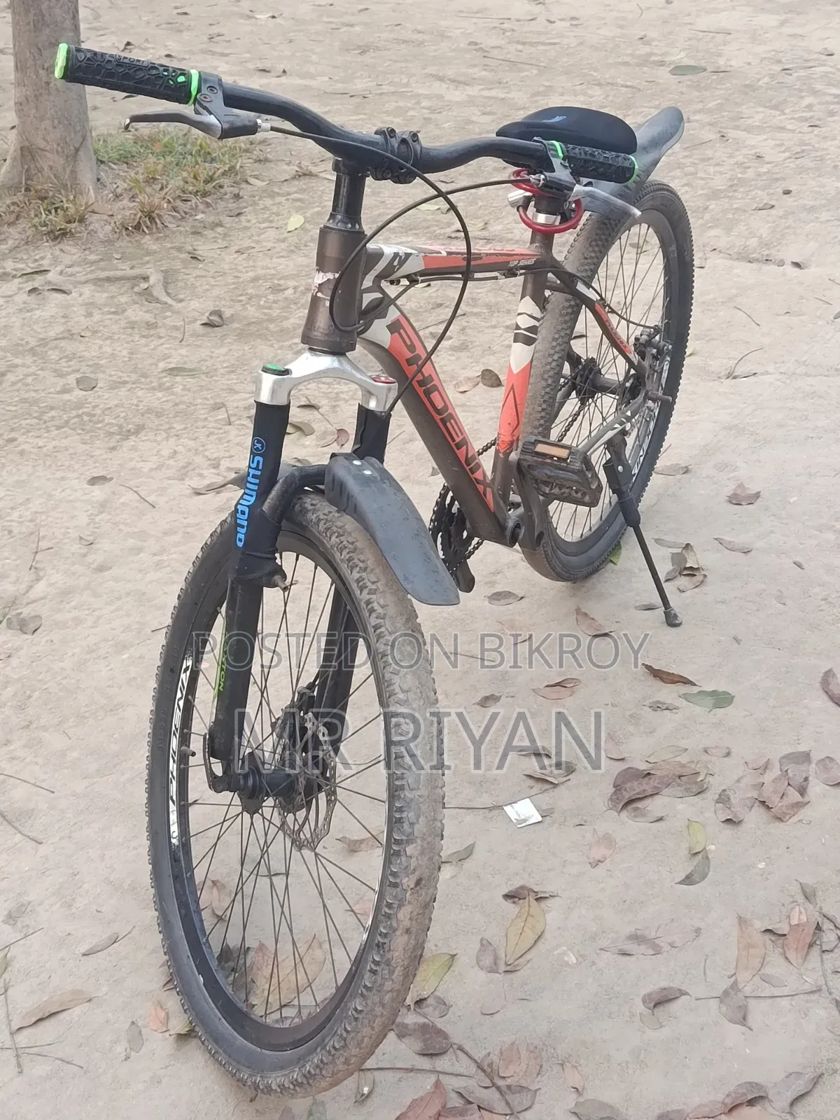 Phoenix Bicycle with Aluminum Body for Sale