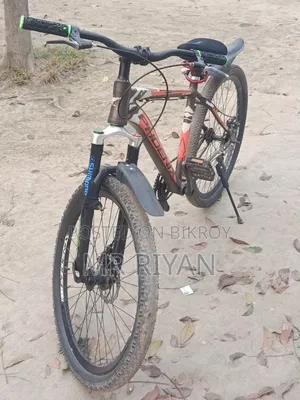 Phoenix Bicycle with Aluminum Body for Sale