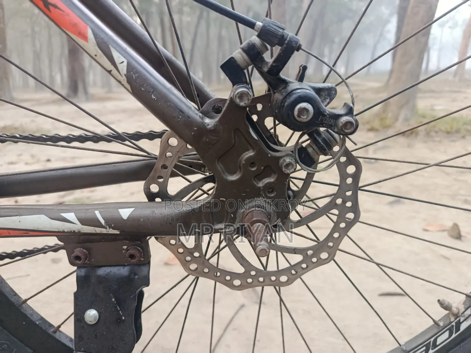 Phoenix Bicycle with Aluminum Body for Sale