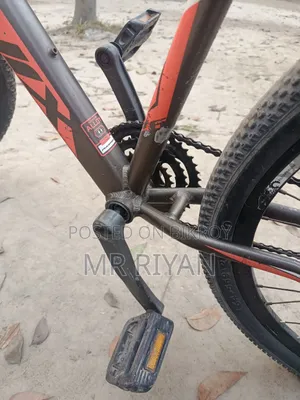 Phoenix Bicycle with Aluminum Body for Sale