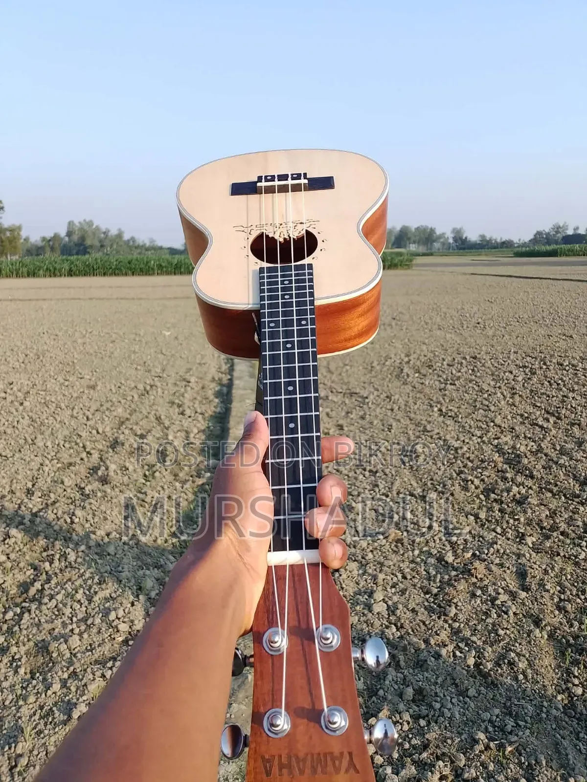 উকুলেলে বিক্রি করবো একদম নতুন