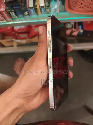 Apple iPhone 13 Pro Max 256 GB Green