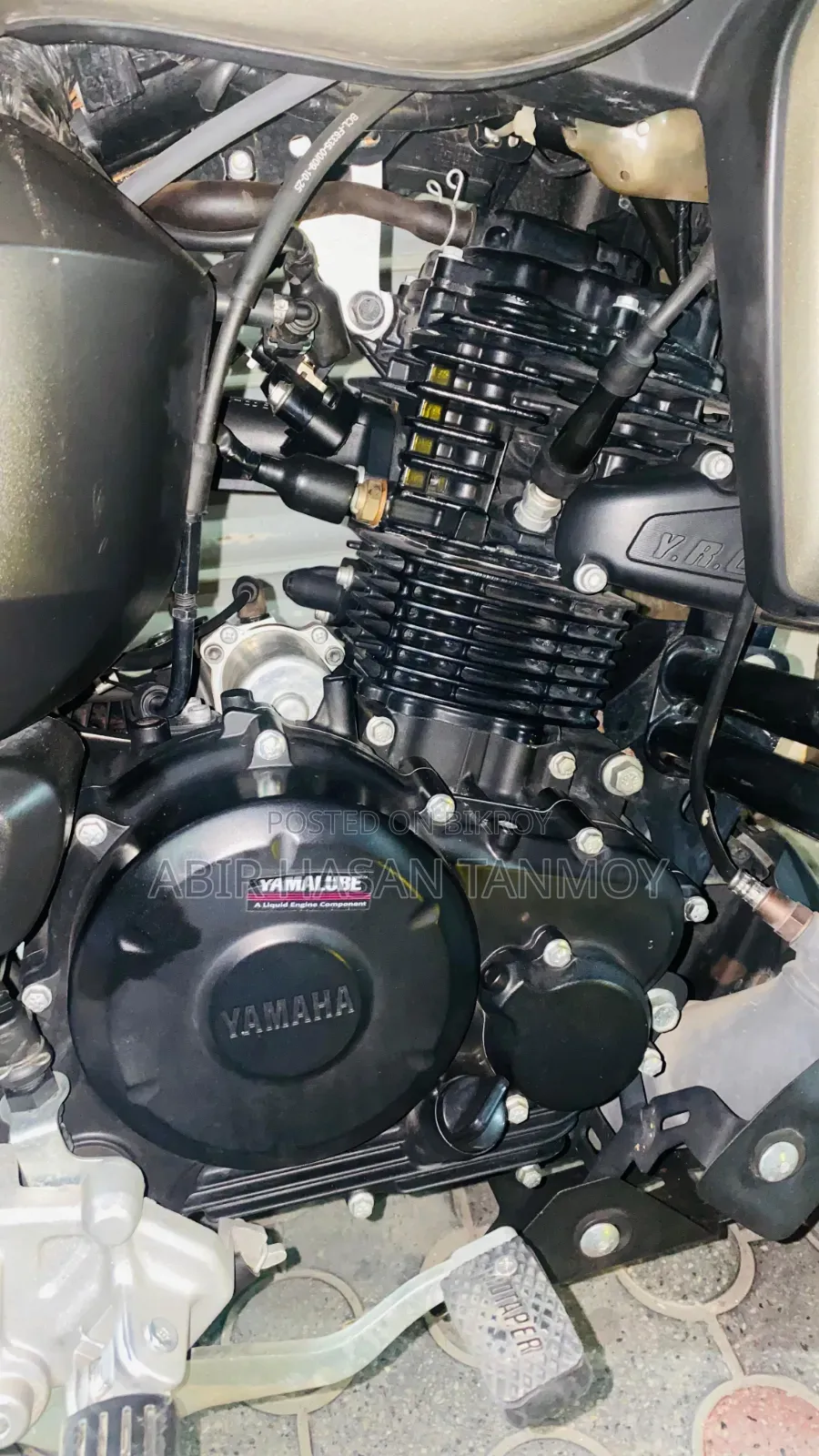 Yamaha FZ 2025 Gold