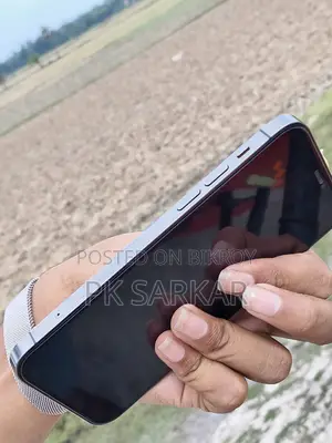 Apple iPhone 12 Pro 256 GB Gray