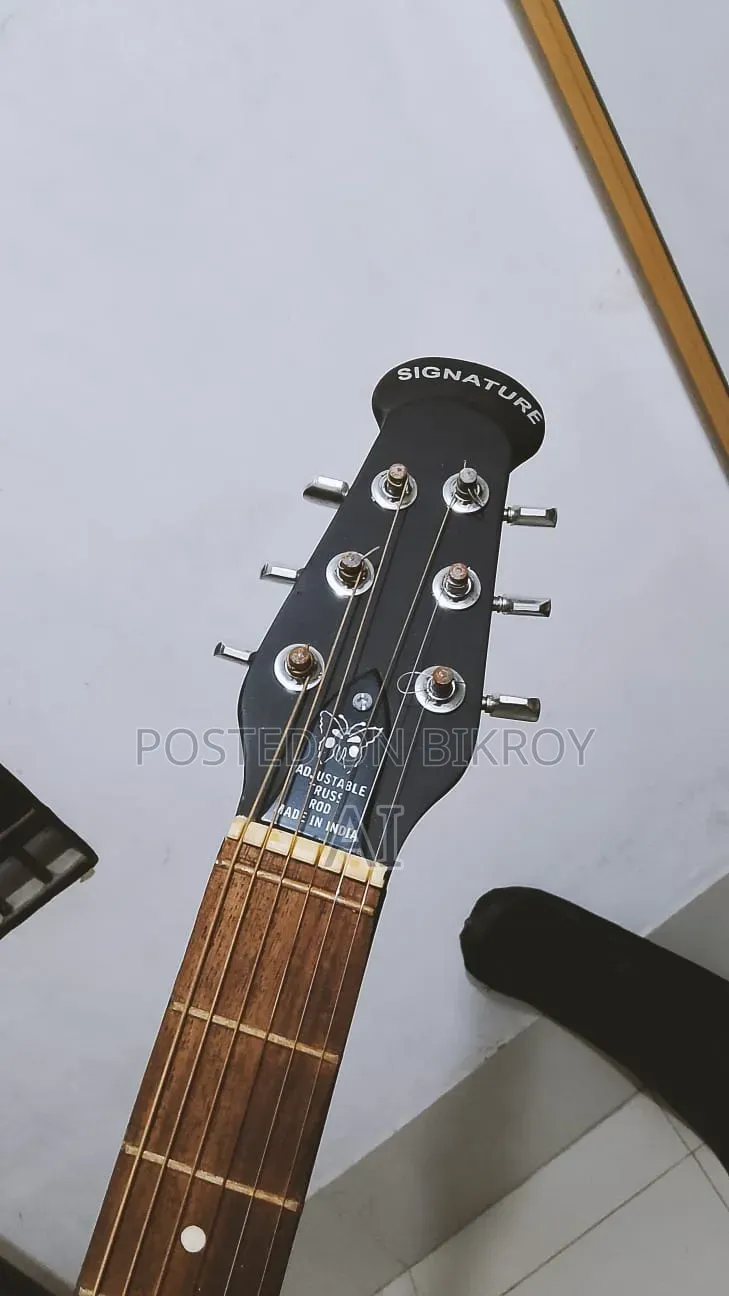 Signature Guitar