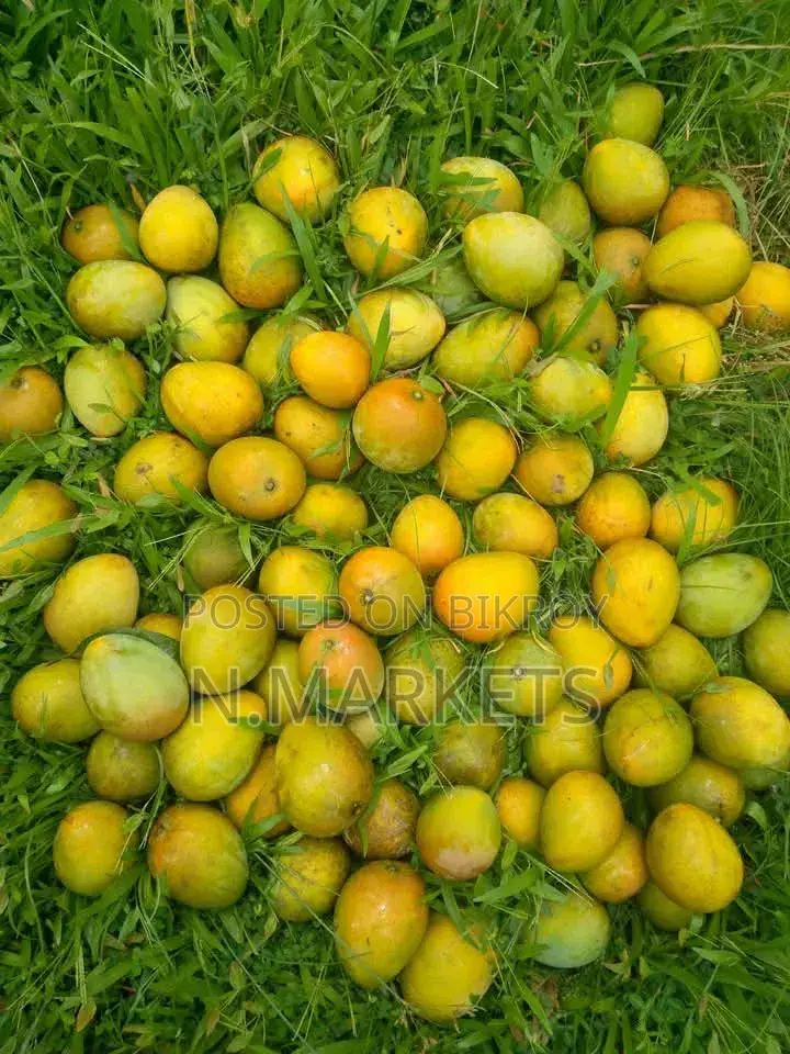 Haribhanga Mangoes