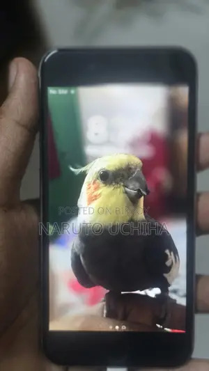 Apple iPhone 6 32 GB Silver