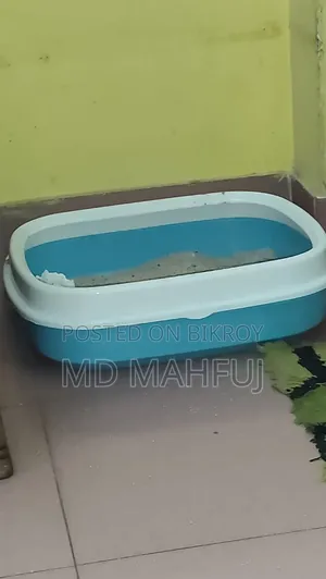 Cat Litter Box
