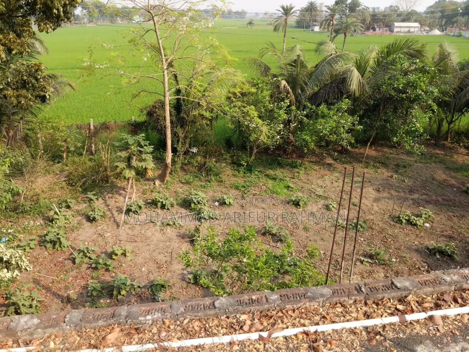 মদিনা মার্কেটসহ ২৬ শতাংশ জমি বিক্রয় হবে