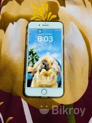 Lion Lop, a foreign breed rabbit for sale
