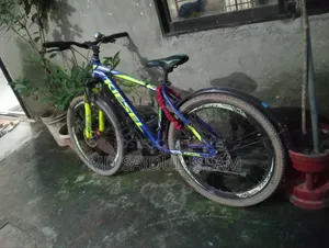 Bicycle for sale