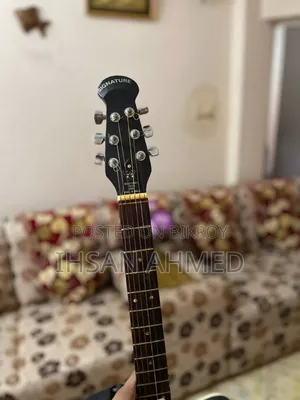 সিগনেচার অ্যাকোস্টিক গিটার