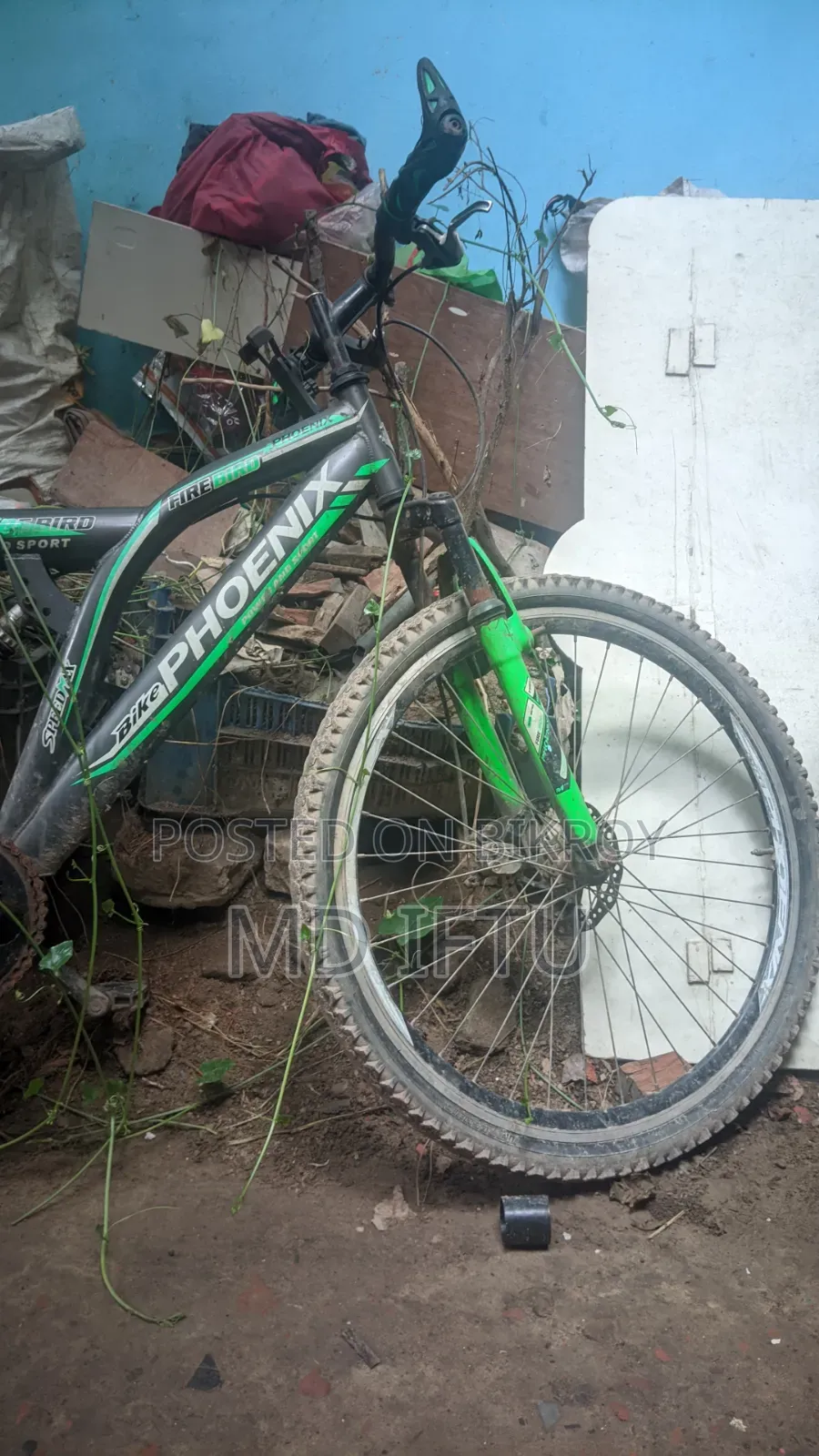 সাইকেল ওকে ফুল