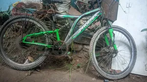 সাইকেল ওকে ফুল