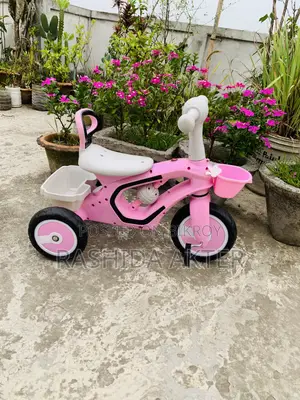 Baby Cycle