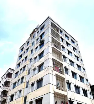 Furnished 2-bedroom Apartment in Khilkhet for Sale