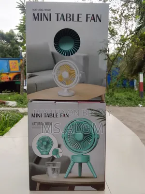 এক্সকুইজিট পোর্টেবল মিনি টেবিল ফ্যান