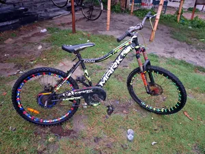 Bicycle 24-inch Size
