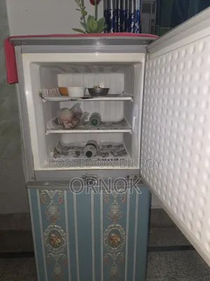 Walton 10cft Direct Cool Refrigerator